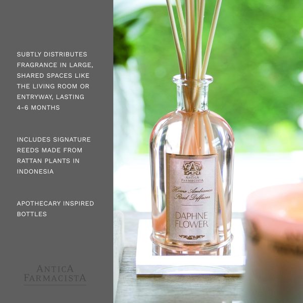 Antica Farmacista - Elderflower Home ambiance Diffuser - 3.4 Fl Oz - Image 158