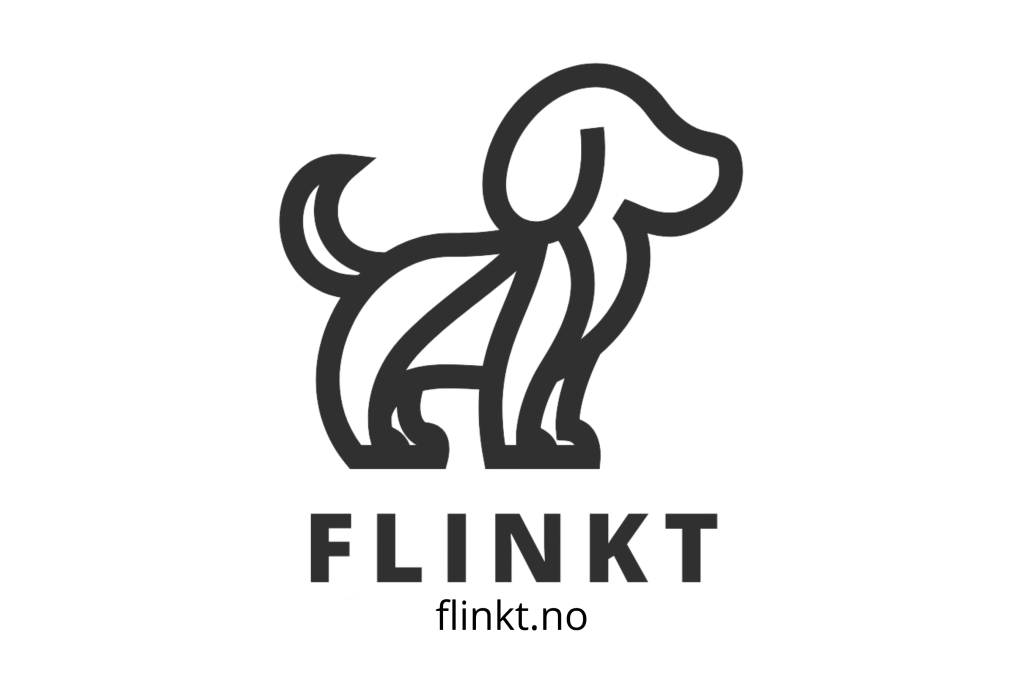 flinkt.no