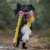 Doggie-Zen Elastisk Hol-ee kometjagarkampis S - Draleike