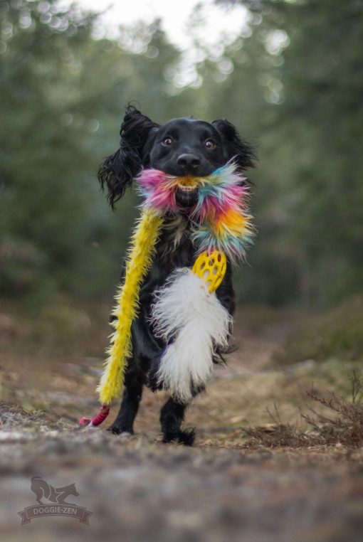 Doggie-Zen Elastisk Hol-ee kometjagarkampis S - Draleike