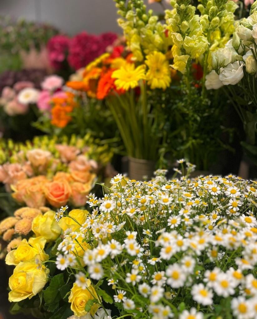 Beställa blommor Södra Sandby