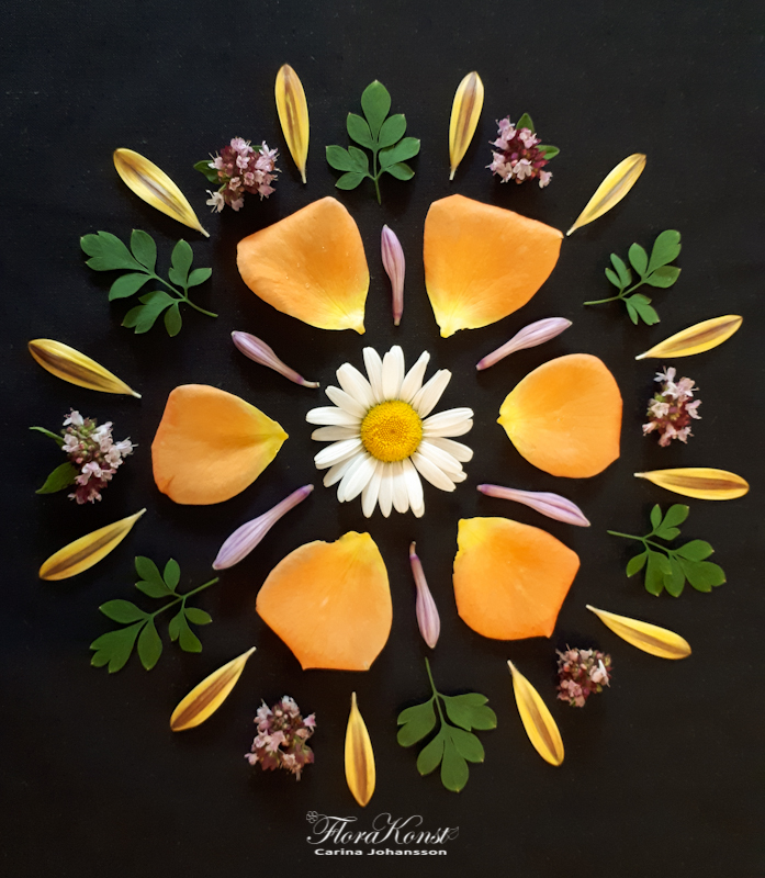 A flowermandala made of flowerpetals.