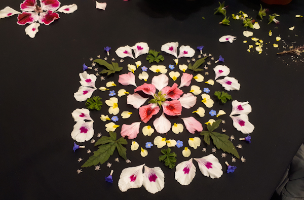 A mandala of petals laid out.