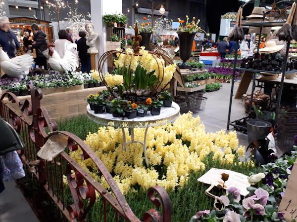 A booth with yellow hyacinths
