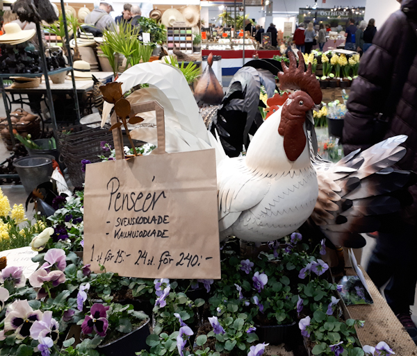 A rooster in sheet metal that stands as a decoration among several pots of pansies. 