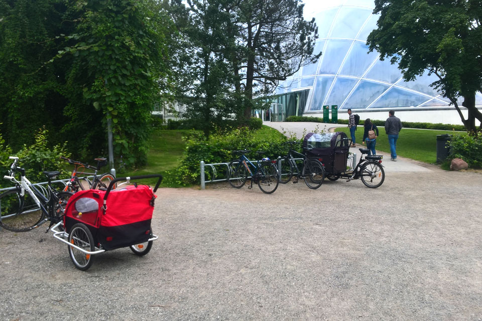 Ботанический сад Орхус Дания