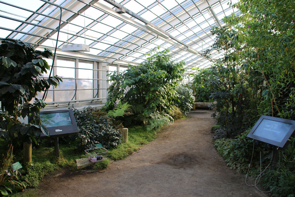 оранжереи ботанического сада Орхус, Дания