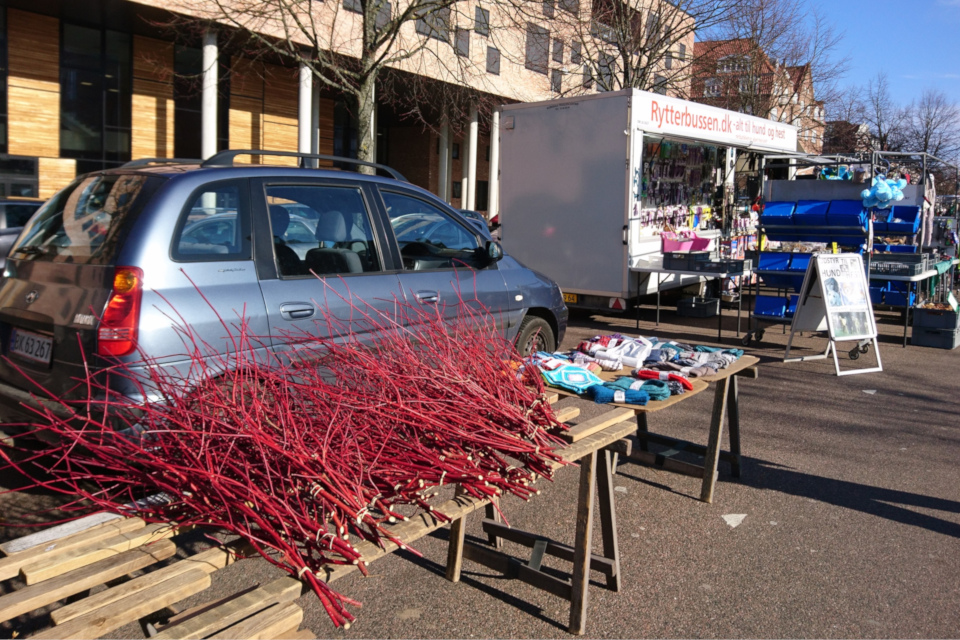Красные веточки деренa для масленицы на городской рынке Ингеслев Бульвар 