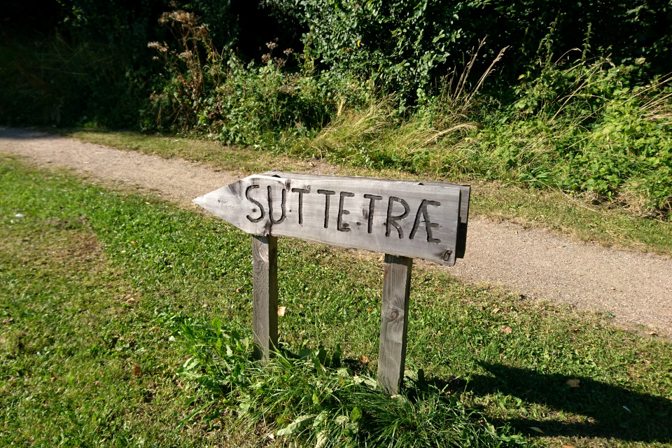 Указатель направления к дереву сосок "Suttetræ" возле тропинки в парке