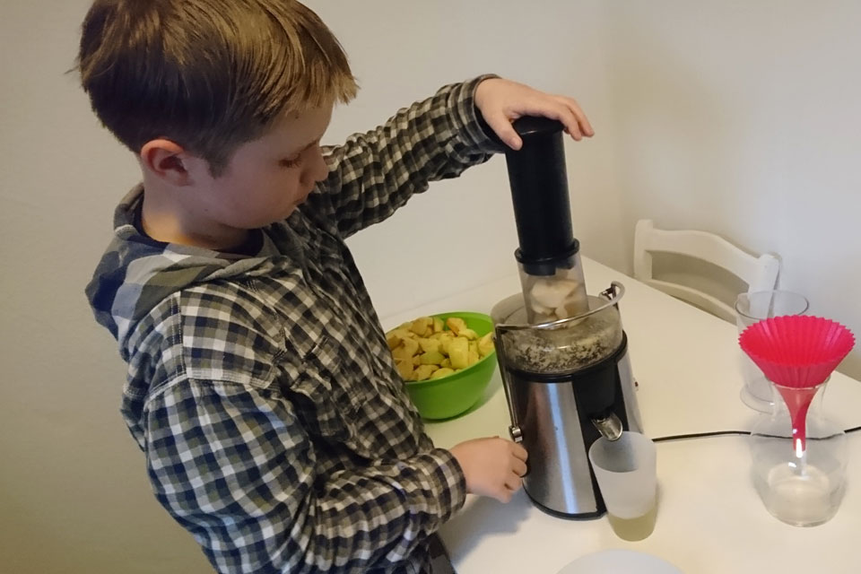 Мой сын помогает делать яблочный сок