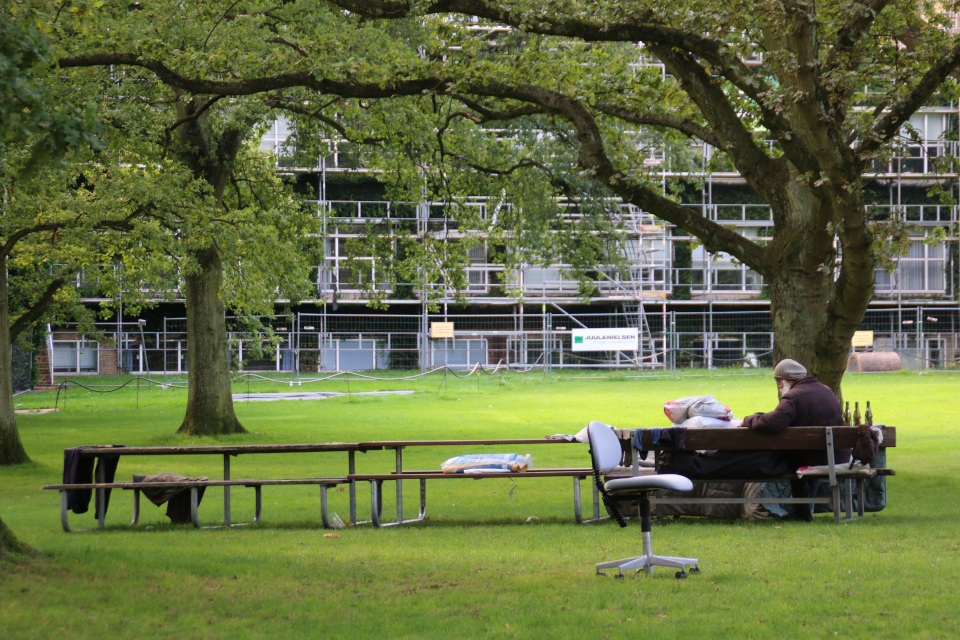 Бездомный в парке Орхусского университета, Дания. Фото 29 авг. 2021