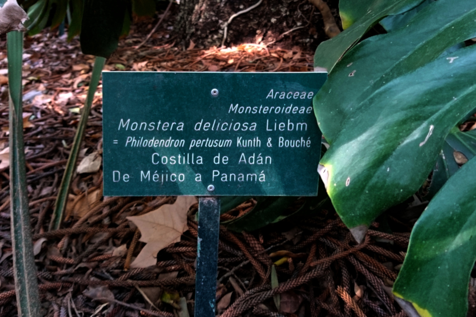 Табличка в ботаническом саду г. Малага, Испания