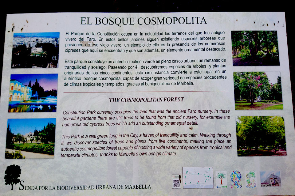 El Bosque Cosmopolita / The Cosmopolitan Forest