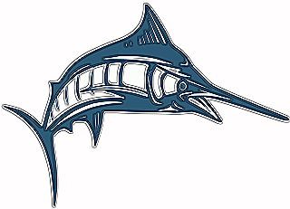 swordfish marlin billfishing