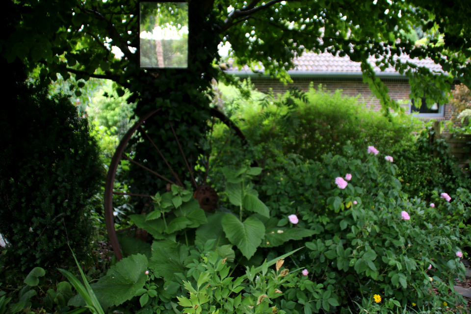 Дикий уголок нетронутой природы в саду Йорк
