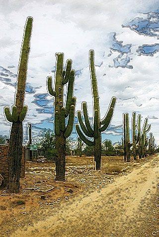 Судьба конкистадора - часть 6 cactus