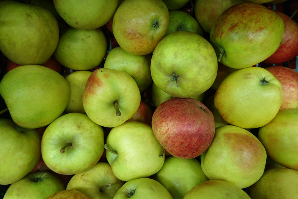 Сорта яблок в магазинах Дании: Эльстар - ElStar. 
