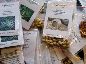 Общество коллекционеров семян Дании