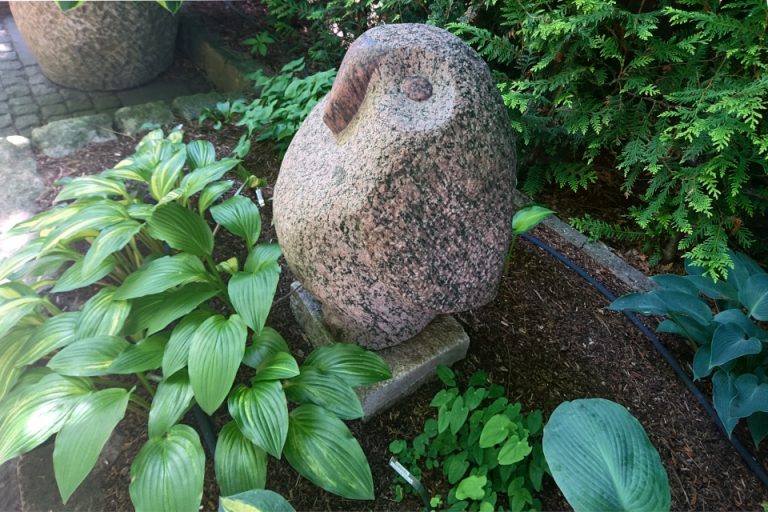 Сад Кирстен и Ингольф, Дания - Флора Пассионис