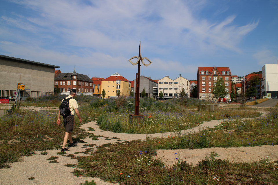 Природа Дании в центре города