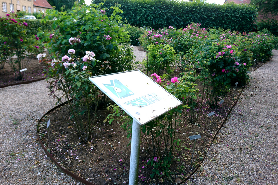 Табличка с планом сада исторических роз возле городского музея Фредерисия, Дания