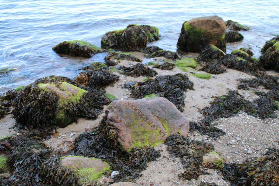 Камень с надписью "Море Нектара" (дат. Nektarhavet) 