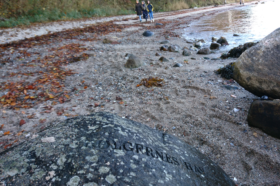 Лунный камень Море Волн (дат. Bølgernes Hav)