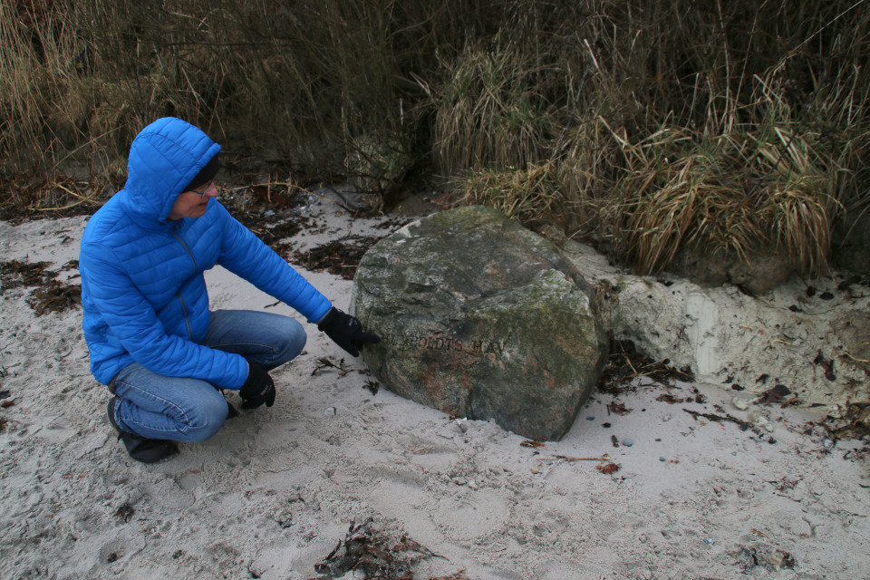Лунный камень Море Гумбольдта (дат. Humboldts Hav). Фото 1 марта 2020, берег Мосгорд /Moesgaard Strand, г. Хойбьяу / Højbjerg, Дания