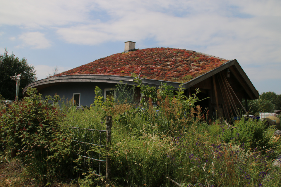 экодом с зеленой крышей, Фриланд, Дания