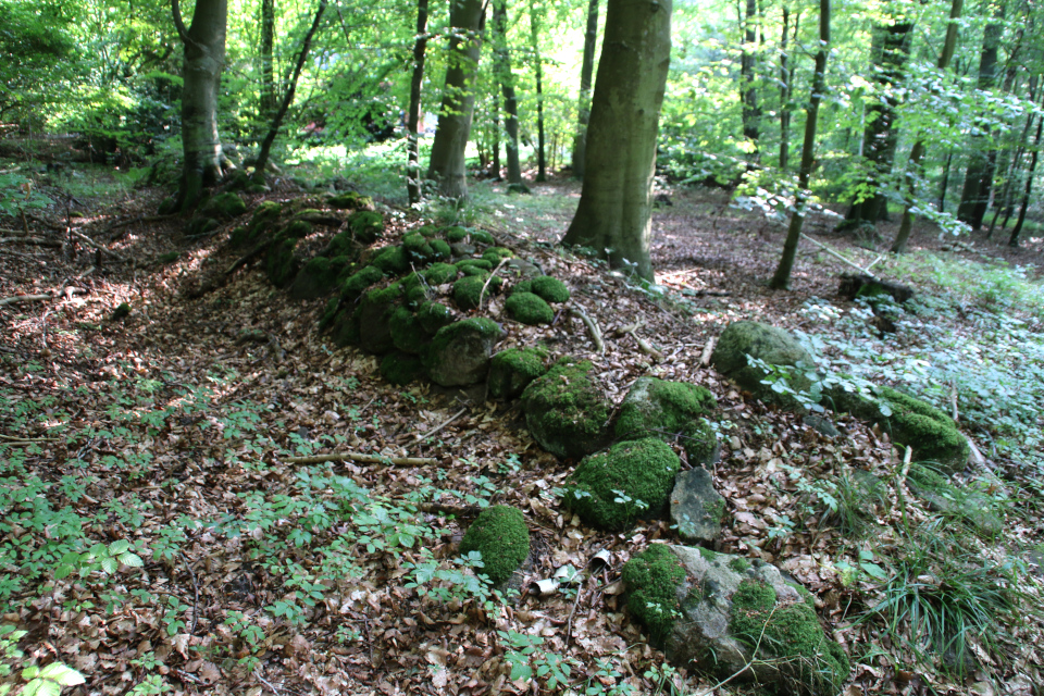 Каменные ограждения территории леса (дат. stendige), поросшие мхом