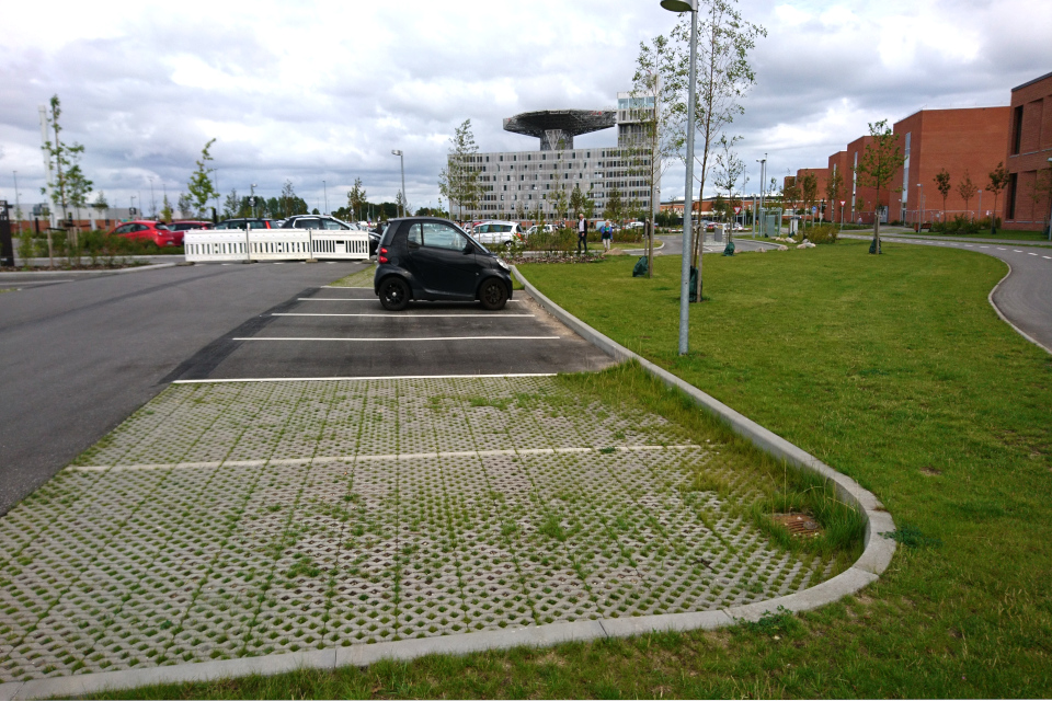 Парковочные места, покрытые плиткой с дырками для травы, Университетская больница