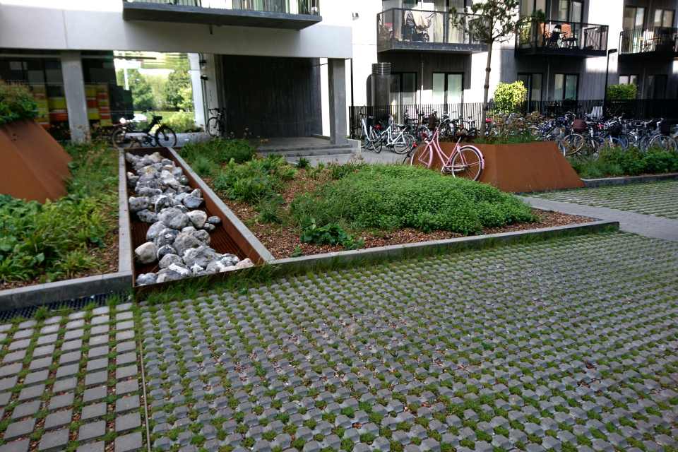 Тротуарная плитка с отверстиями для травы в жилищном комплексе. 