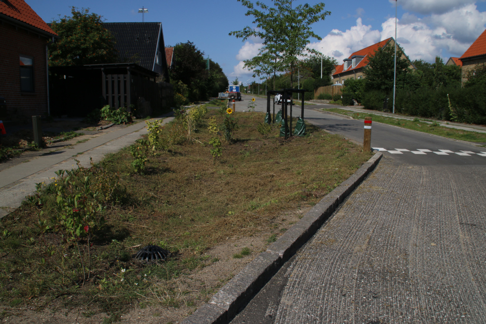 Коллектор для ливней возле тротуара. Фото 3 авг. 2019, Орхус /Aarhus N, Дания