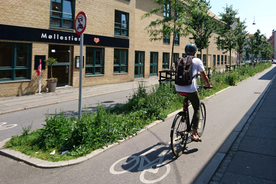 Зеленый оазис посреди дороги в центре г. Орхус / Aarhus, Дания. Фото 18 июн. 2019 