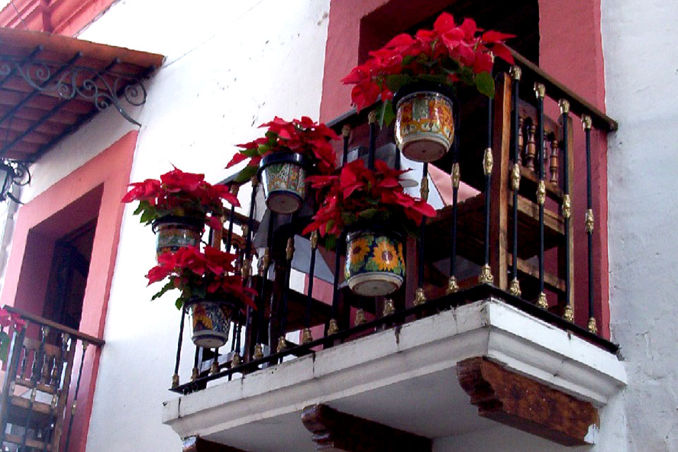 Балконы частных домов украшенные цветущими пуансеттиями, Мексика