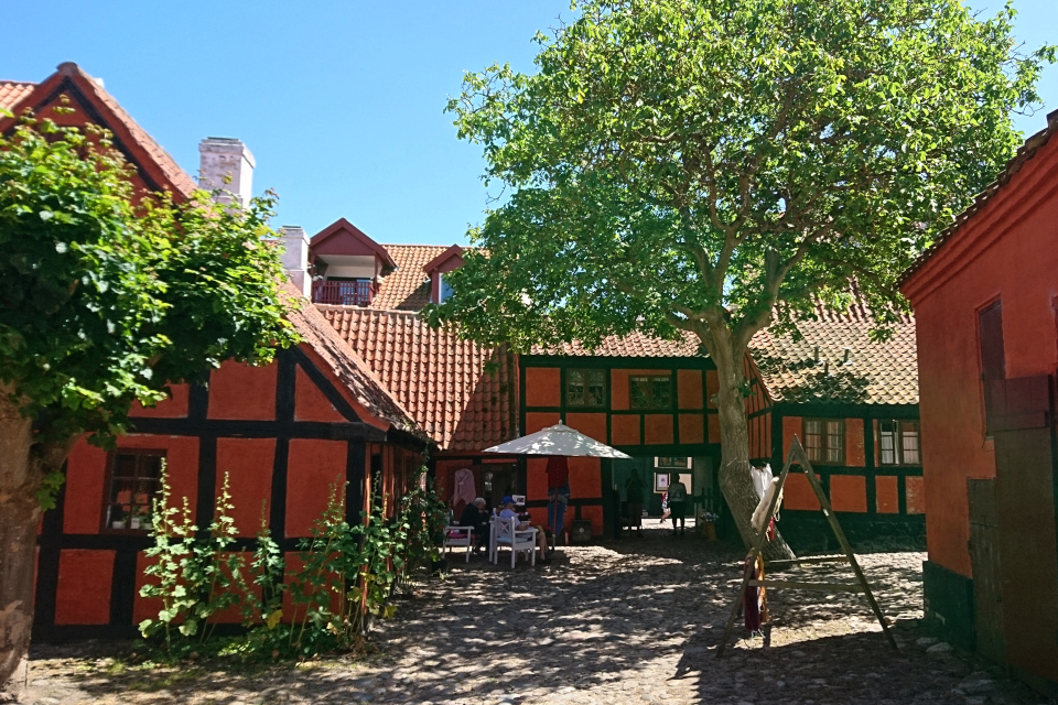 Дерево грецкого ореха во дворе старой красильни, г. Эбельтофт / Ebeltoft, Дания