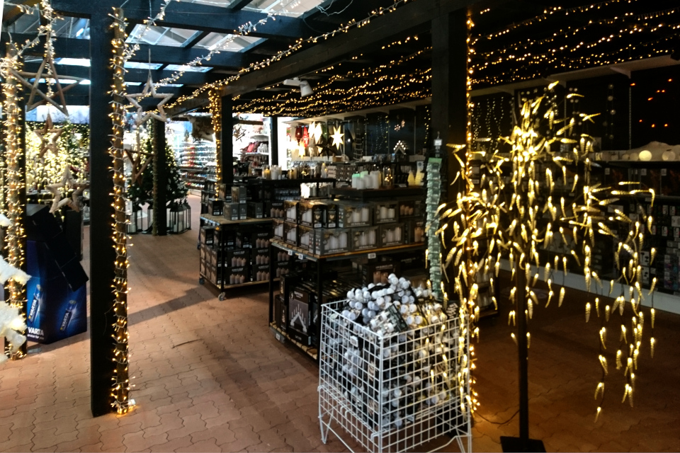 Рождественский базар в Plantorama, ива со свечками. 22 окт. 2019, Дания 