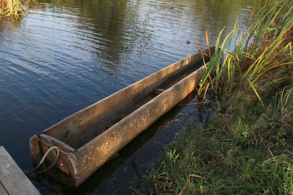 Лодка из ствола липы (дат. Stammebåd) по технологии культуры Эртебёлле