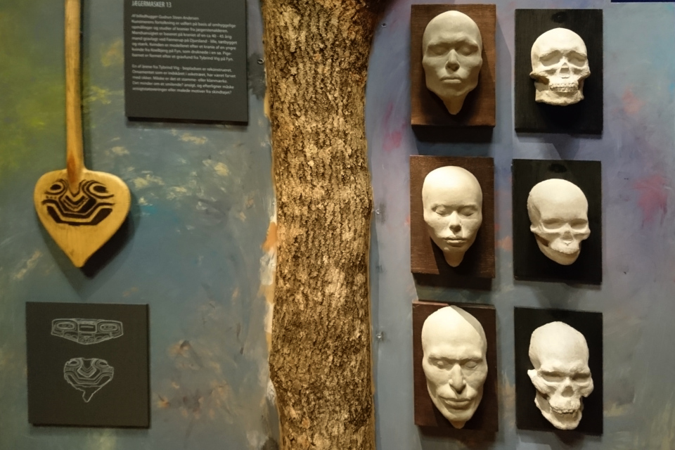 Восстановленные по скелетам головы и лица людей культуры Эртебёлле.