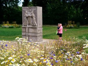 Poselenie Vikingov Fyurkat Daniya Moi Nablyudeniya Flora Passionis