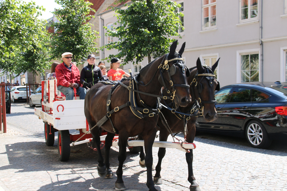Прогулка по городу в повозке с лошадьми г. Кристиансфельд / Christiansfeld, Дания