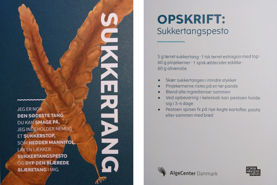 Сухие морские водоросли на моей кухне - Флора Пассионис