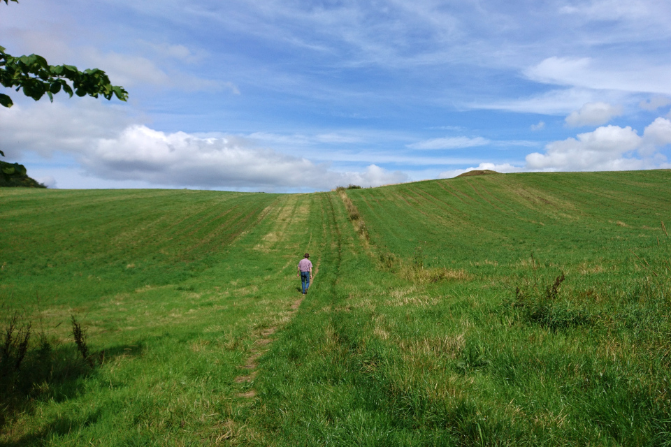 По пути к кургану через поле. Фото 9 авг. 2019, г. Ронде / Rønde, Дания