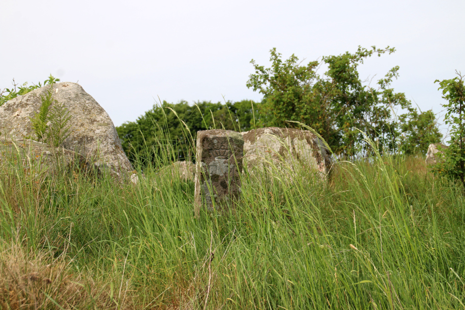 Каменный столбик возле кромлеха дольмена (Fredet Mindesmærke)