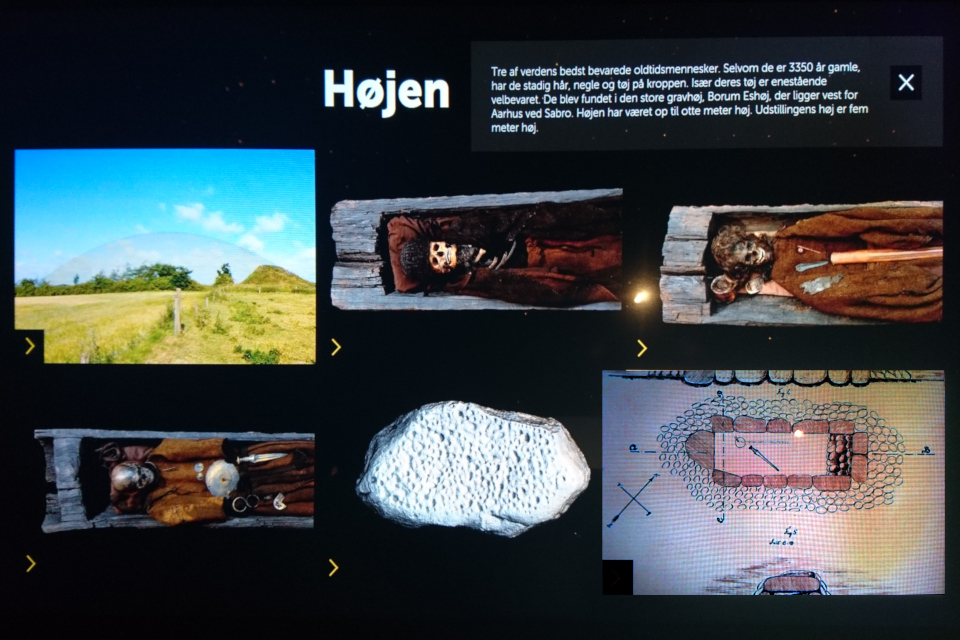 Фотография в экрана про находки из кургана Борум Эсхой в музее Мосгорд