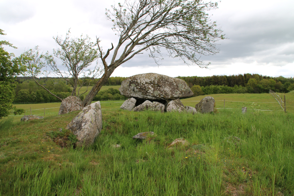 Огромный камень, оставшийся от соседней погребальной камеры дольмена-50 кр.