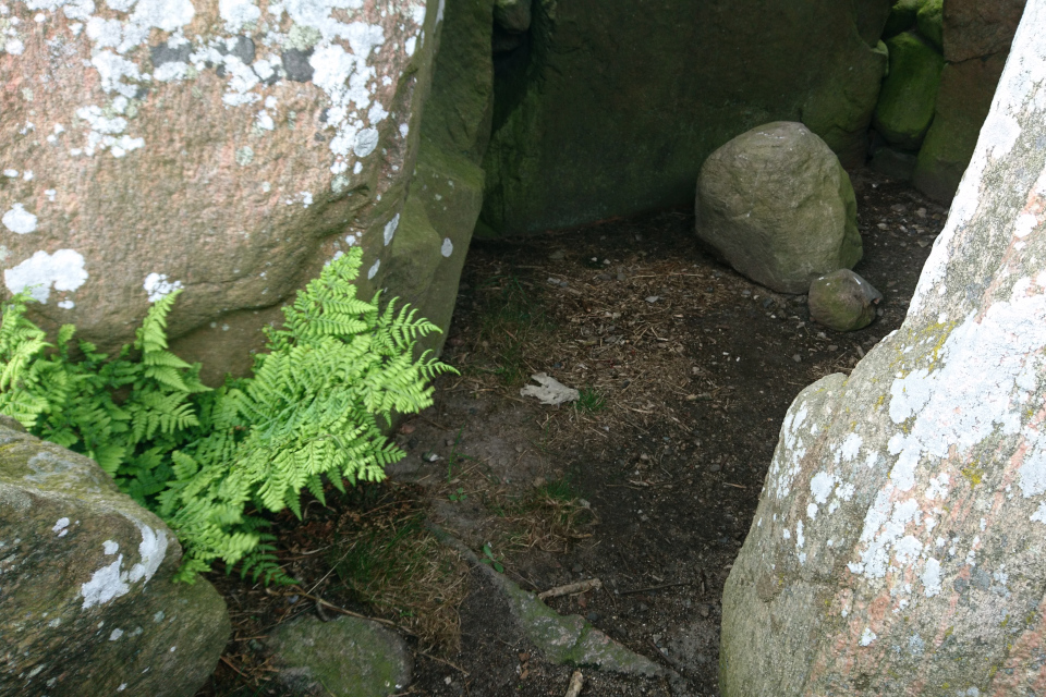 Каменный порог у входа в камеру дольмена-50 кр, Дания