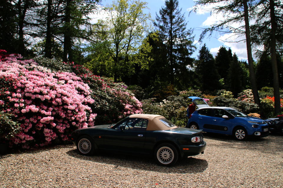 Парковка у входа в питомник и парк рододендронов Rhododendron-Haven, Дания