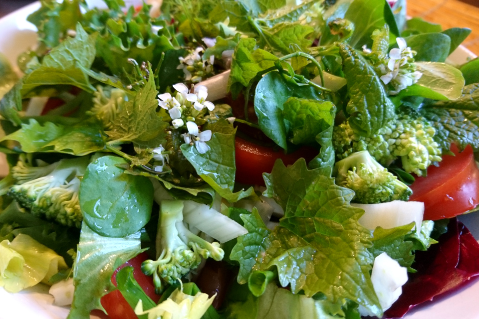 Салат с листьями и цветами чесночницы
