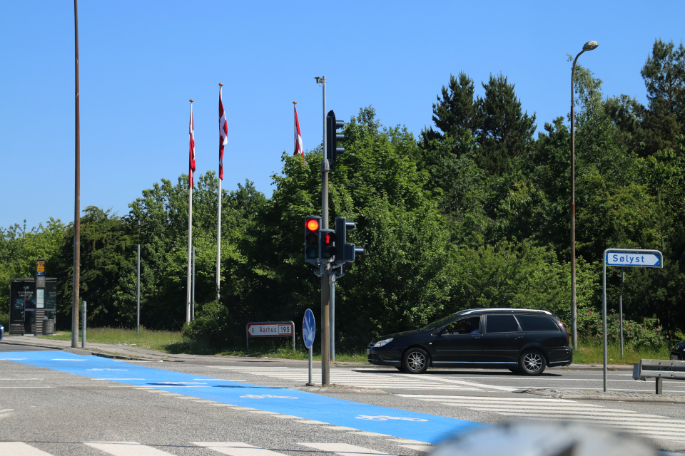Три датских флага возле автобусной остановки и велосипедной дорожки